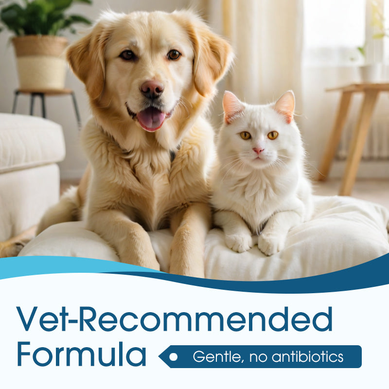 🎁🎁Advanced Anti-Itch Ear Cleaner for Dogs & Cats