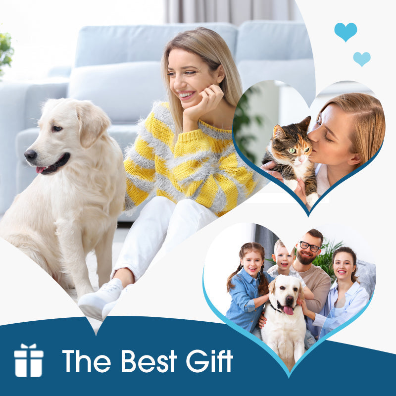 🎁🎁Advanced Anti-Itch Ear Cleaner for Dogs & Cats